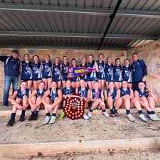 Image result for Henley Netball Club