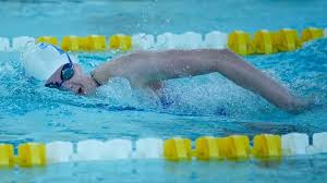 Image result for TAL Divers