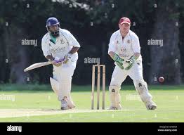 Image result for Hadleigh Cricket Club