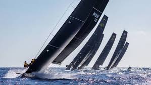 Image result for St Edmundsbury Sailing & Canoeing Association