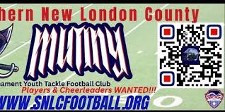 Image result for New Latchingdon Youth Football Club