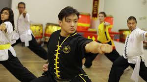 Image result for Shaolin Ancestors kung Fu School