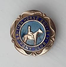 Image result for British Horse Society