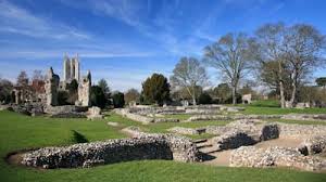 Image result for Bury St Edmund Shuttlers