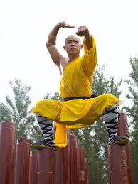 Image result for kung fu