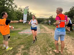 Image result for Ledbury & District Harriers