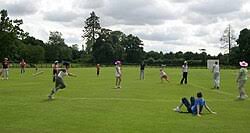 Image result for Hit and Miss Rounders Club