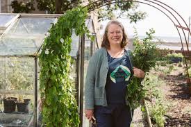 Image result for stonehaven gymnastics club