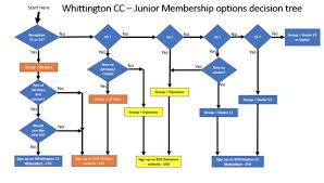Image result for Whittington Cricket Club