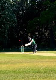 Image result for Checkendon Cricket Club