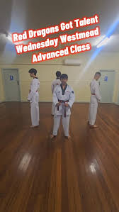 Image result for Red Dragon Taekwondo club