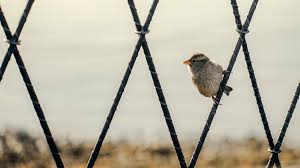 Image result for Приметы