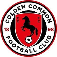 Image result for Ditton Football Club