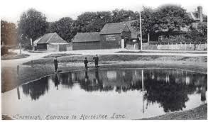 Image result for Cranleigh School Stables