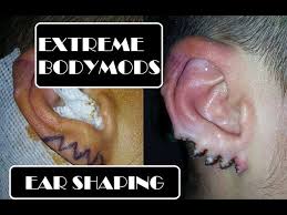 Image result for ear mod