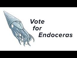 Attēlu rezultāti vaicājumam “Endoceras”