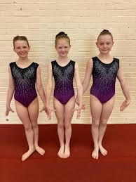 Image result for Kestrel Gymnastic Group