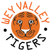 Image result for Wey Valley Netball Club