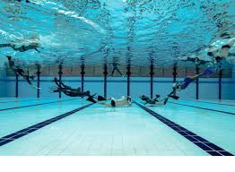 Image result for Caversham Underwater Hockey Club