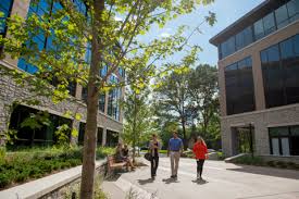 Image result for Brentwood Tc