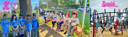 Image result for Elmbridge Girls` Little League
