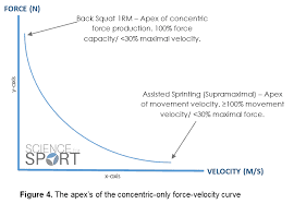 Image result for Velocity