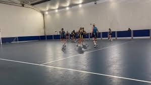 Image result for Bridgwater Netball Club