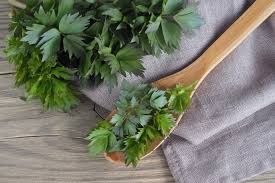 Image result for Liebstöckel