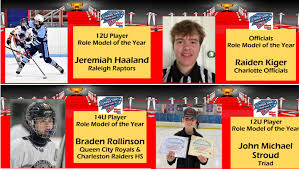 Image result for Stroud Hockey Club