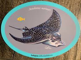 Image result for Aetobatus narinari