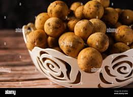 Image result for Lansongammon