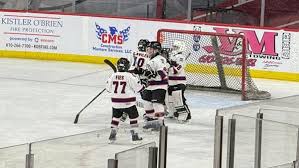 Image result for Reading Hockey Club