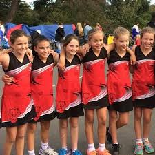 Image result for Waverley Netball Club