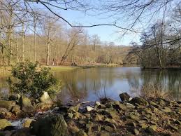 Image result for sonsbeek park