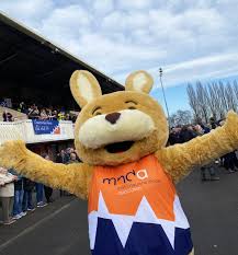 Image result for Kingston Upon Hull Athletics Club