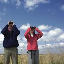 Image result for Leiston Badminton Club