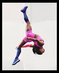 Image result for L&G Acrobatics