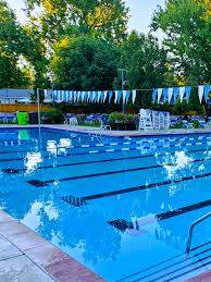 Image result for Dearne Valley Swimming Club
