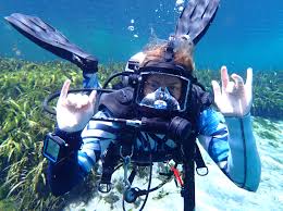 Image result for Headstream Divers