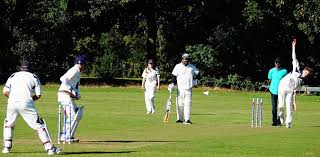 Image result for Pontblyddyn Cricket Club