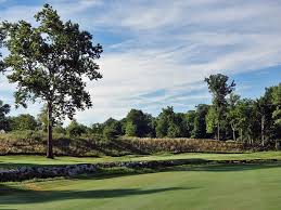 Image result for The Alt Golf Club