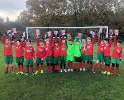 Image result for Chiddingfold Youth Fc