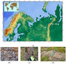 Attēlu rezultāti vaicājumam “Gloeocapsa rupestris”