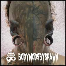 Image result for ear mod