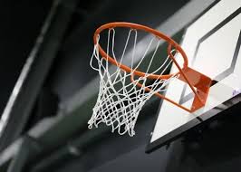 Image result for Elmbridge Boccia Club