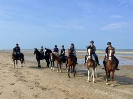 Image result for Elstead Riding Club