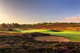 Image result for Hankley Common Golf Club