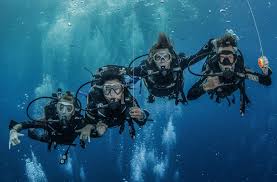 Image result for Divemaster Scuba