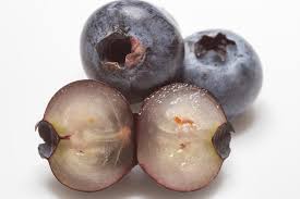 Attēlu rezultāti vaicājumam “Vaccinium myrtillus fruit”