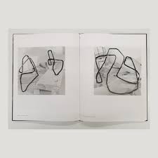 Image result for Bernard Voita